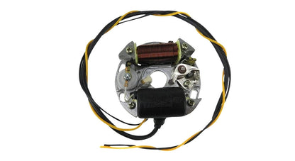 Zündung Bosch Linksdrehend 6V 17W | Puch Z50 / ZA50
