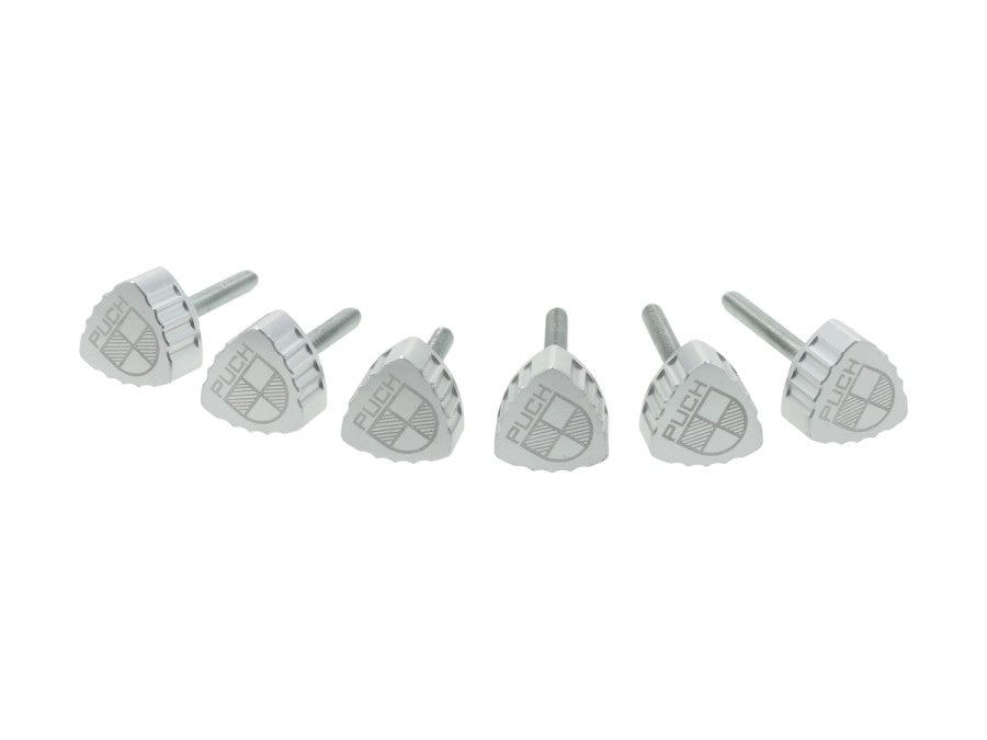 Seitenverkleidungsschrauben Fast Arrow CNC – Chrom (6 Stück)